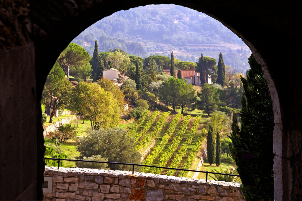 Marché de l'immobilier en Provence